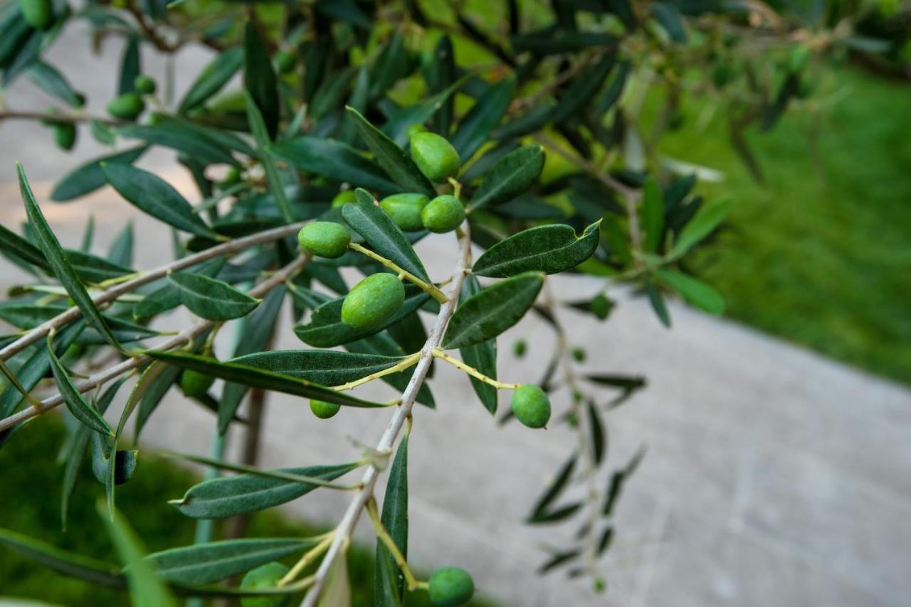 Olive 301 Lejlighed Peraía Eksteriør billede